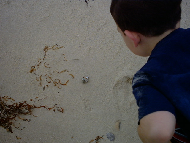 IMG00007.JPG
