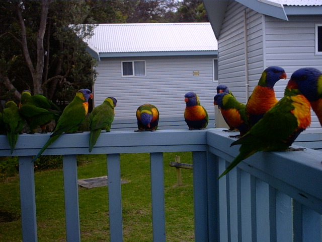 IMG00020.JPG