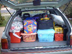 Yep, it's packed...