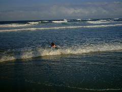 IMG00020_1