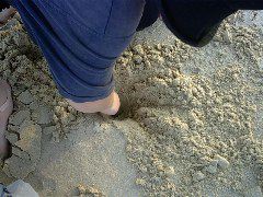 IMG00021_1