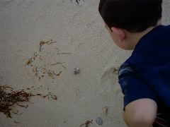 IMG00007.JPG