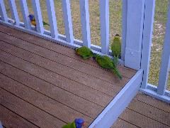 IMG00019.JPG