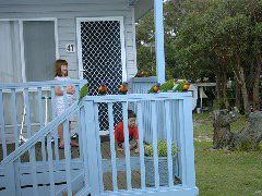 IMG00023.JPG