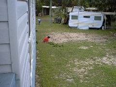 IMG00025.JPG