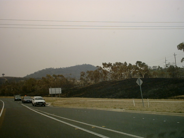 IMG00006.JPG