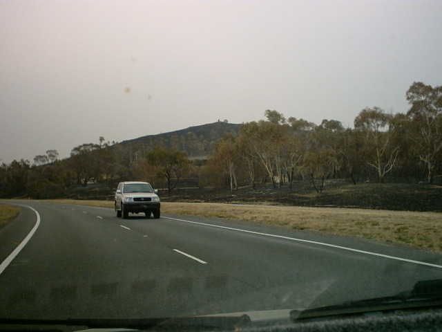 IMG00007.JPG