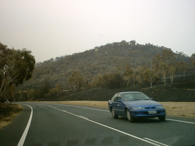 IMG00008.JPG