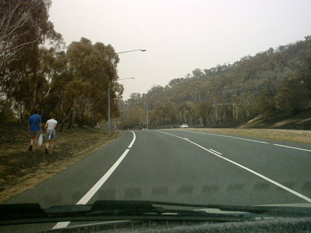 IMG00009.JPG