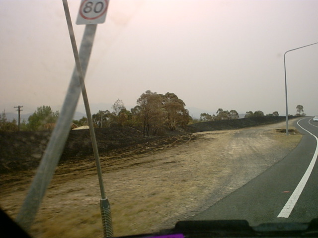IMG00010.JPG