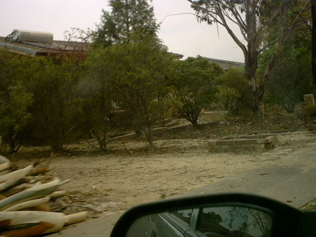 IMG00011.JPG