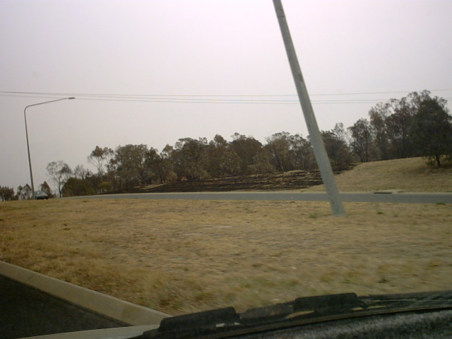 IMG00002.JPG