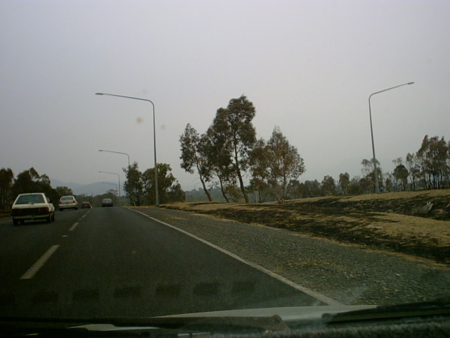 IMG00003.JPG