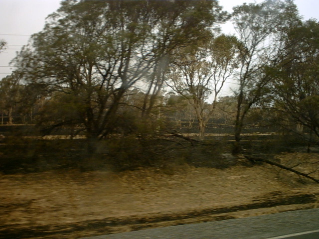IMG00004.JPG