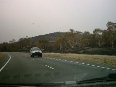 IMG00007.JPG