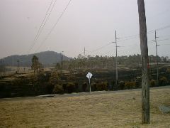 IMG00005.JPG